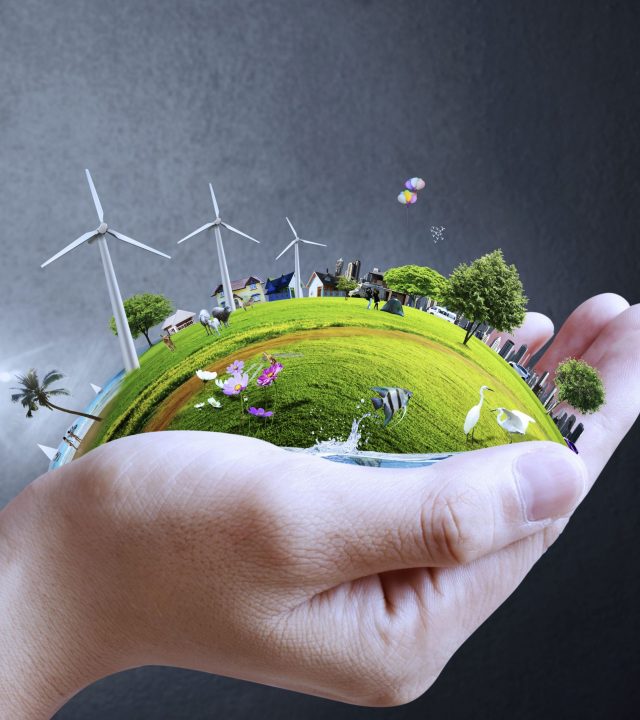 Earth Systems handful